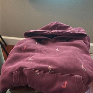 Jordan Maroon Hoodie with Embroidered Details